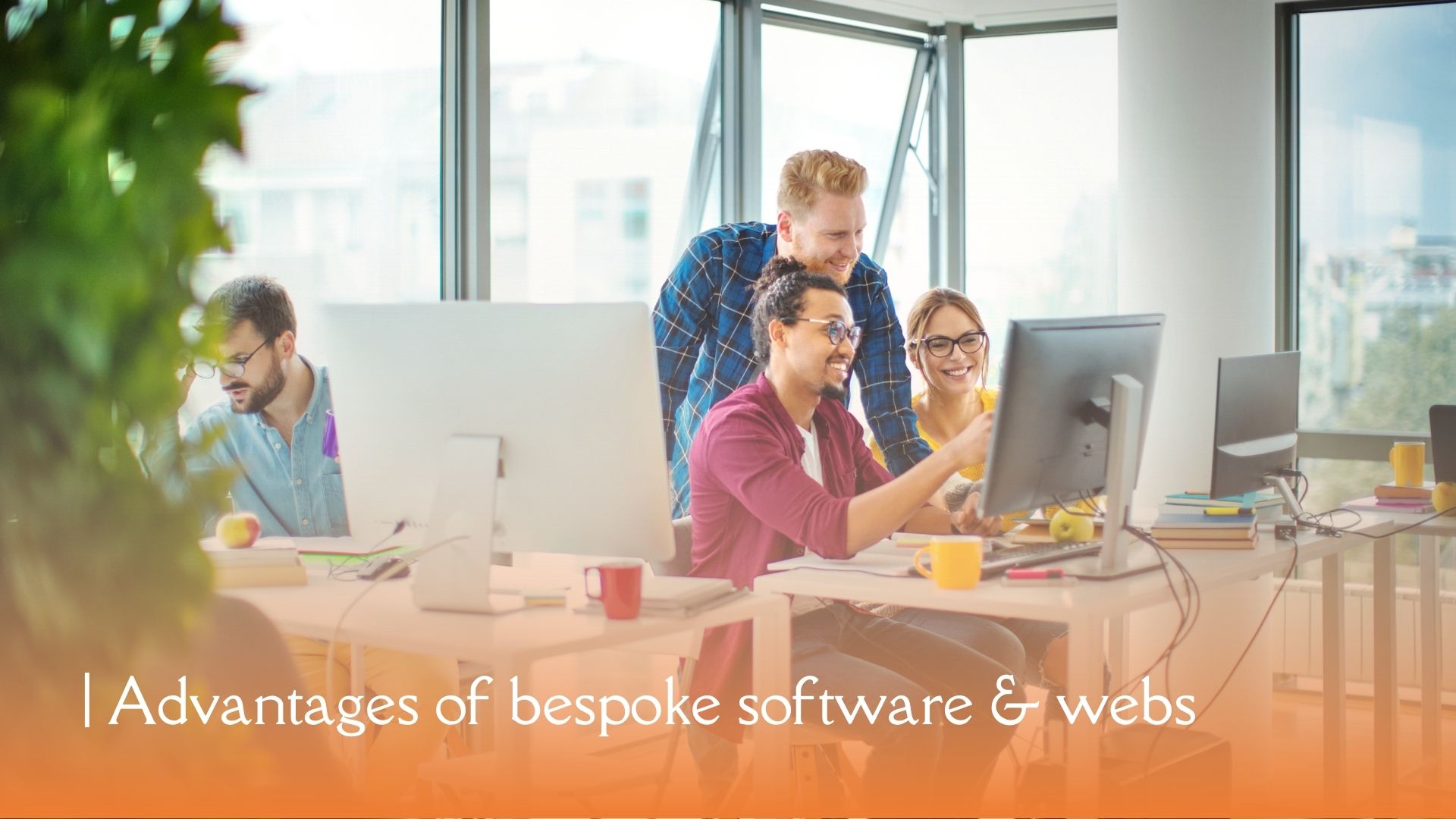 advantages-of-beskpoke-software-development.jpg