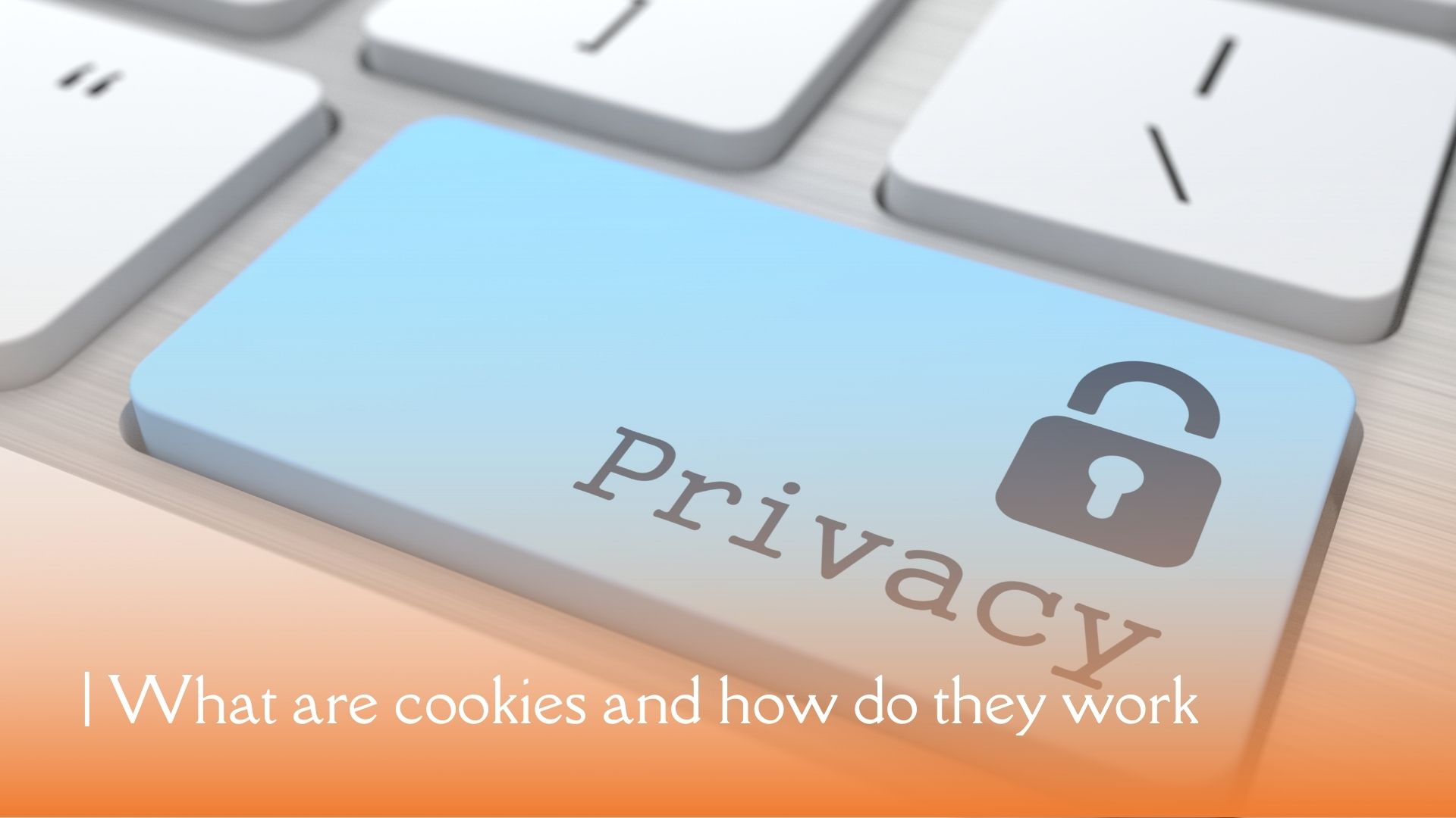 Privacy and web cookies